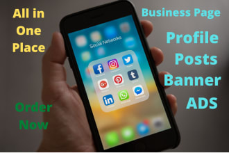 design and optimize posts, page, profile, ads for linkedin, facebook, instagram