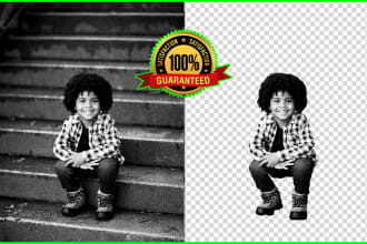 do cut out and background removal from image professionally