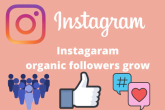 grow and promote instagram page organically