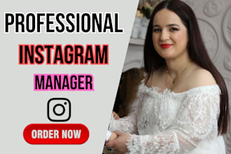 be instagram social media manager
