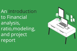 do financial analysis, ratio, modeling and project report