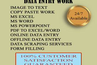 do the fastest online data entry job for you