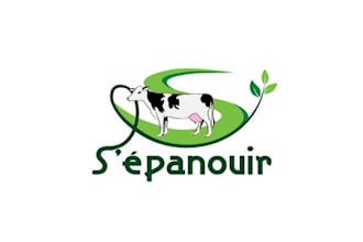 create a professional sleek logo