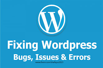 fix any wordpress website issue