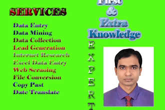 data entry, copy paste, web research and excel data entry work