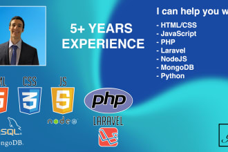 teach you web development, js, PHP, laravel