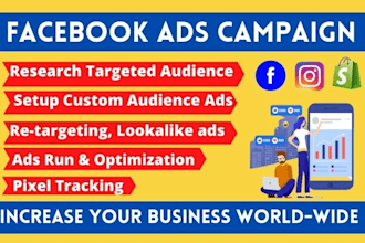 setup facebook ads campaign and manage fb ads for your business