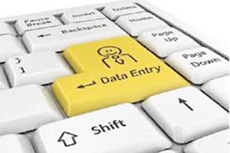 do data entry typing work and fastest excel data entry