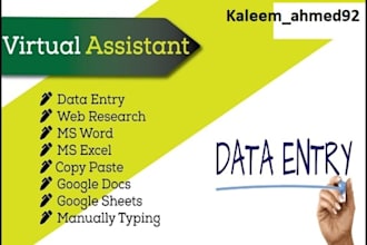be your virtual assistant for data entry, data mining, copy paste, web research
