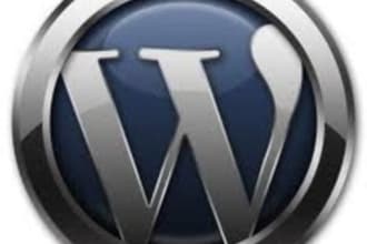 install wordpress on your hosting and configure your theme