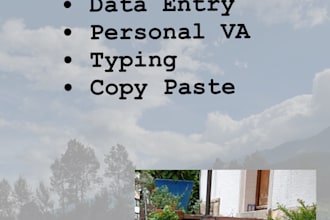 be your helpful virtual assistant