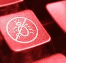do networking and security projects