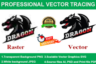 do vector tracing, redraw or redesign you logo, icon
