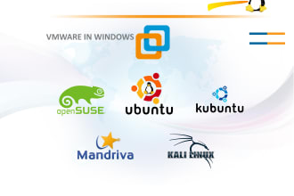 windows and linux server