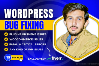 fix complex wordpress issues, fix wordpress errors, wordpress bug fix