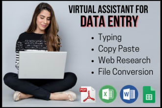 do accurate data entry, web research, excel, copy paste work