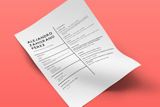 modern minimalistic cv design