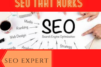 provide on page technical shopify seo  service within 17 hours