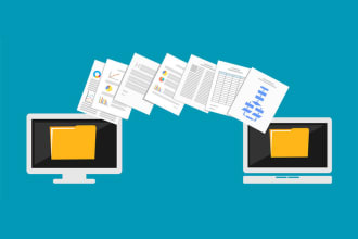 provide website and data transfer services