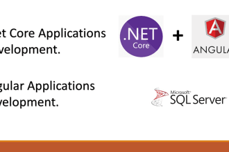 develop your asp dot net core and angular applications