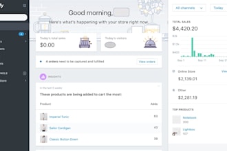 be your expert shopify store designer