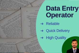 efficiently handle data entry, excel, typing, computer tasks