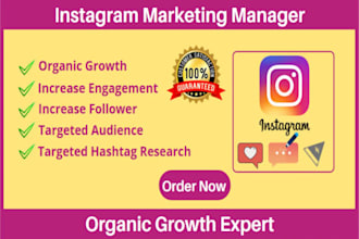 create instagram promotion instagram infographics instagram filter