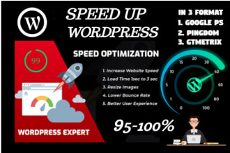 do wordpress speed optimization, increase website page speed