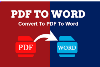 do convert PDF to word, PDF to excel, copy paste, data entry