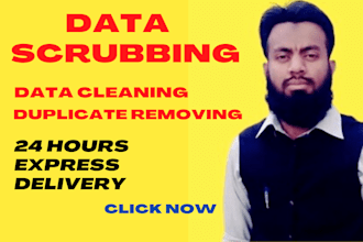 do data scrubbing, data cleansing, data cleaning and duplicate removing jobs