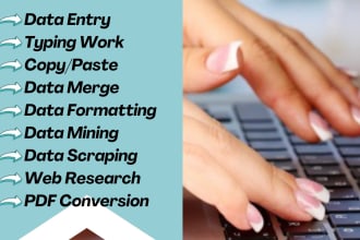 do fast data entry in excel, typing and data cleaning