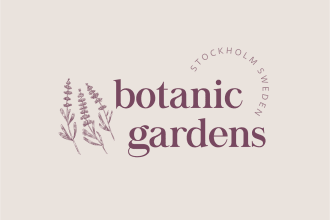 design an aesthetic modern logo