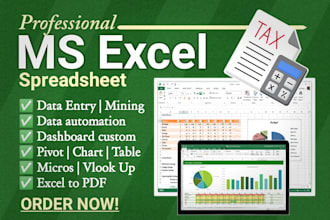 enter excel data, fix macros, vba,  pivot, chart, formula