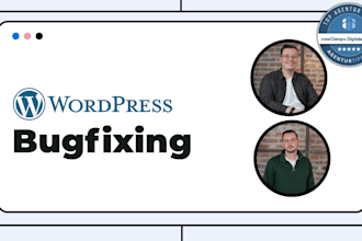fix bugs and errors in wordpress