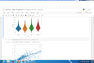 do data analysis and visualization