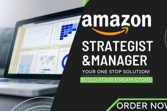be amazon consultant for seller central fba store VA