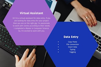 be your virtual assistant for data entry