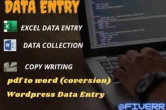 word data entry excel copy writing conversions
