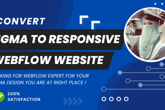 fix your webflow problems
