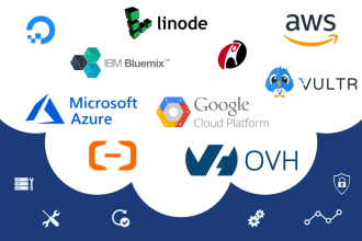 provide monthly server checkup, maintenance and backup