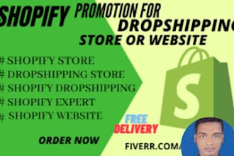 create one product shopify store, dropshipping website