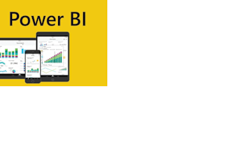 be your power bi developer