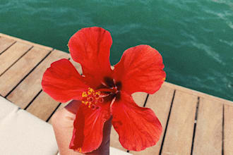 retouch and edit instagram photos with quick delivery