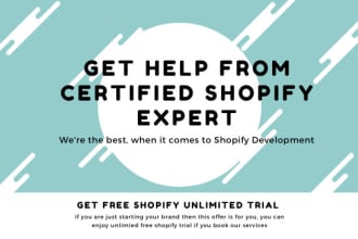 do call consultation on your shopify store website project