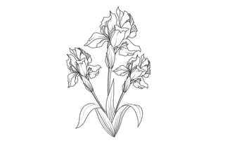 draw flower and plant or anything one line art digital illustration