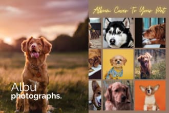 design a single cover and album cover