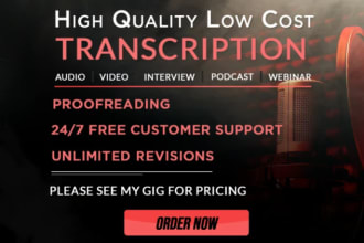 flawless audio or video transcription in 24 hours