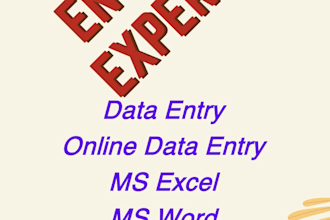 do data entry lead generation data cleaning data formatting in 24 hours