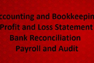 do accounting bookkeeping bank reconciliation payroll profit and loss