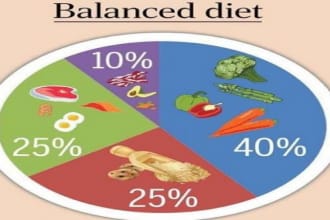 write customized keto diet and diet plans on  disease